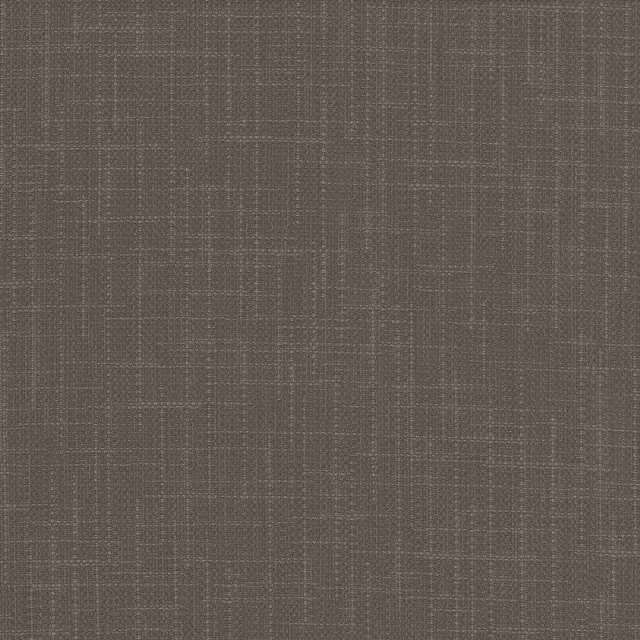 San Carlos Storm by Kasmir Fabric 5050 INDIA 25,000 Wyzenbeek Double Rubs H: N/A, V:N/A 54 - 55 - Fabric Carolina - Kasmir