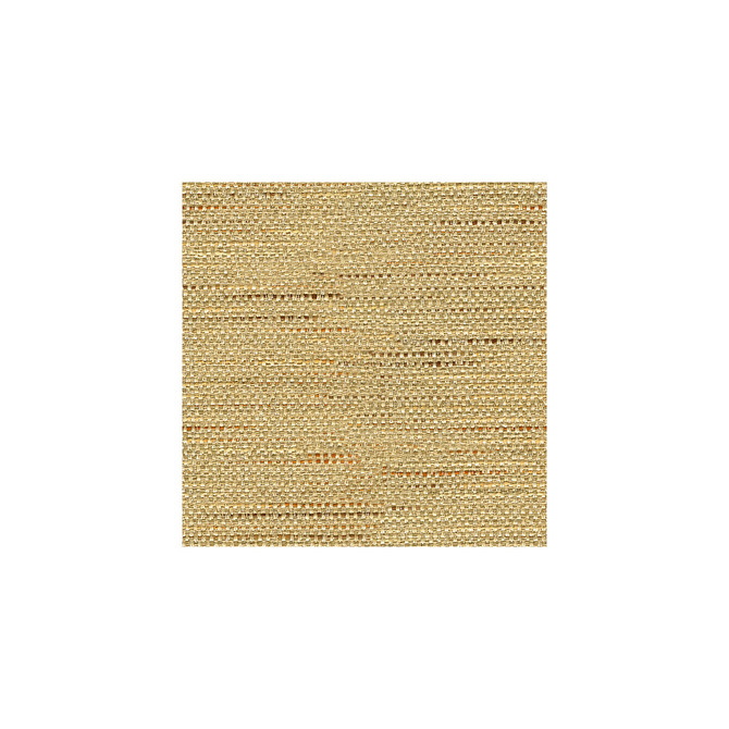 Satara Camel by Baker Lifestyle Fabric ECHO HEIRLOOM INDIA POLYESTER - 80%;COTTON - 20% China HEAVY Horizontal: - and Vertical: - 56 - Fabric Carolina -