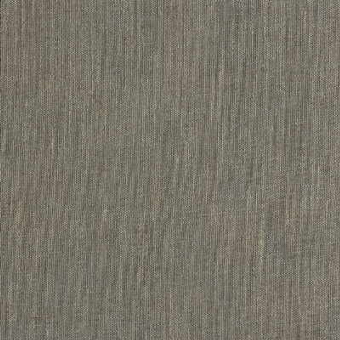 Striking Gold Platinum by Threads Fabric