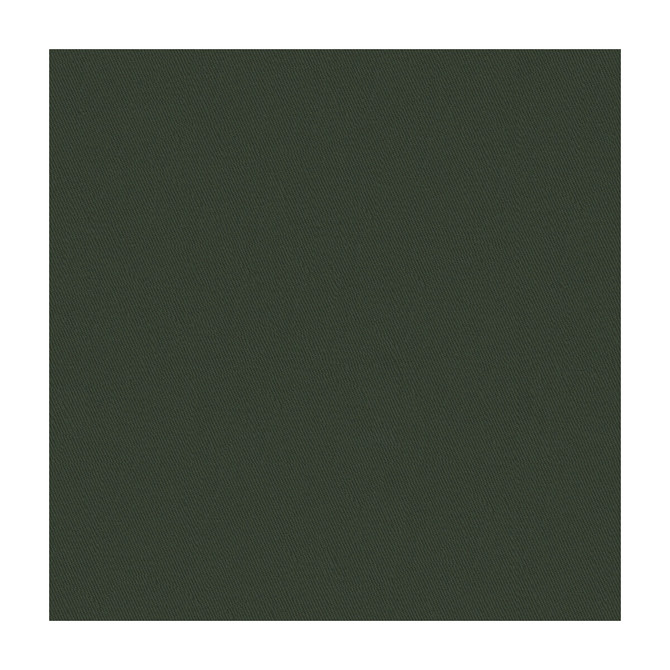 Twickenham Silhouette by Lee Jofa Fabric COTTON - 100% United States Horizontal: and Vertical: 54 - Fabric Carolina -