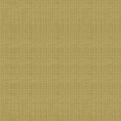 Judd Celery by Lee Jofa Fabric