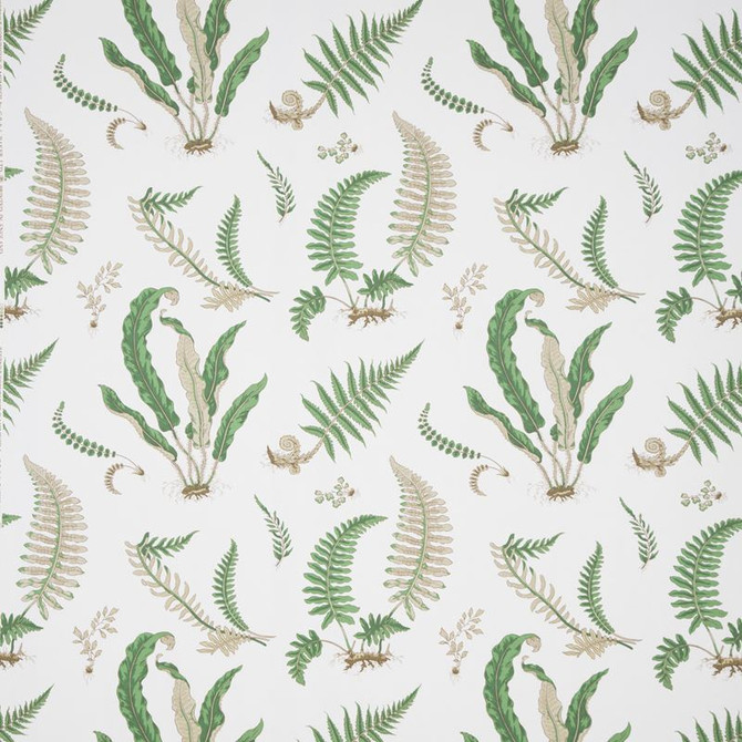 B0860.01 B0860 by Lee Jofa Fabric Perennia Cotton 100% United Kingdom See Sample Horizontal: See Sample and Vertical: 24.822 inches 53.978 inches - Fabric Carolina -