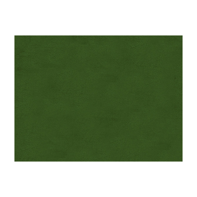 Windsor Cossack Green by Lee Jofa Fabric SILK - 100% Italy Horizontal: and Vertical: 55 - Fabric Carolina -