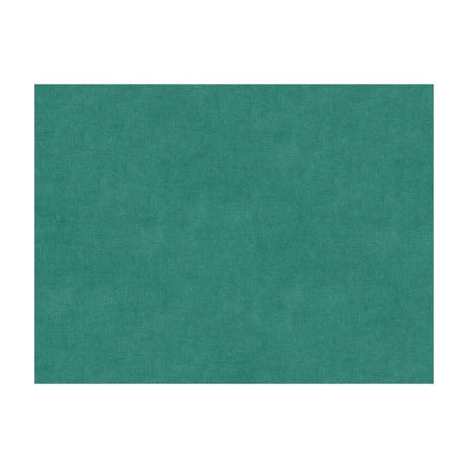 33125-113 by Kravet Design Fabric COTTON - 61%;VISCOSE - 39% Netherlands Horizontal: and Vertical: 55 - Fabric Carolina -