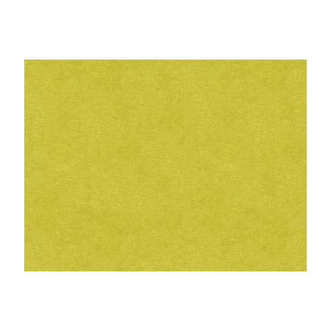 33125-3 by Kravet Design Fabric COTTON - 61%;VISCOSE - 39% Netherlands Horizontal: and Vertical: 55 - Fabric Carolina -
