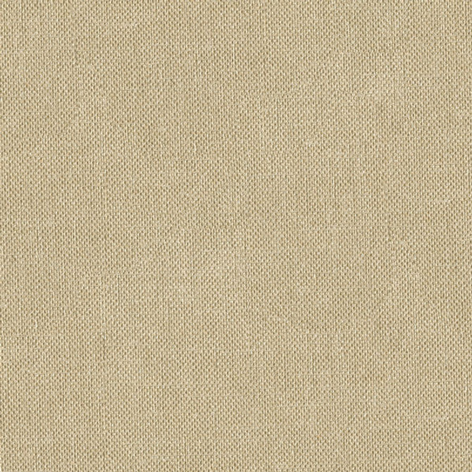 Kravet Basics 33120-1616 by Kravet Basics Fabric