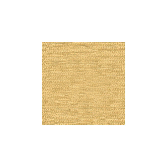 33001-116 by Kravet Smart Fabric - VISCOSE - 70%;POLYESTER - 30% Turkey HEAVY Horizontal: - and Vertical: - 55 - Fabric Carolina -