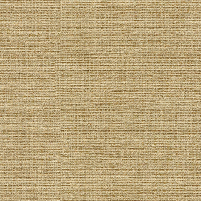 Kravet Basics 32314-1616 by Kravet Basics Fabric