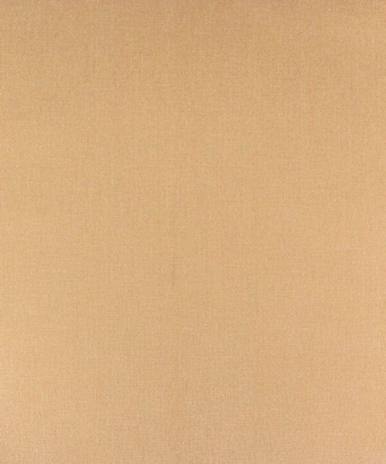 Netleaf Ivory M9590 by Barrow Industries Fabric 14C01 Casual Living Plus 100% Polyester China see sample Horizontal: 0 inches and Vertical: 0 inches 54" minimum (see sample) - Fabric Carolina -