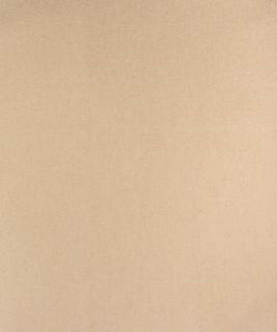 Saguaro Ivory M9591 by Barrow Industries Designer Fabric Casual Living/14C01 100% POLYESTER Asia 9,000 DOUBLE RUBS Horizontal: - and Vertical: - 57" - Swanky Fabrics -