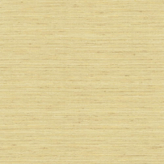 Karma Ecru by Kasmir Fabric 5131 75% Polyester
25% Viscose
 INDIA </p><p>Repeat: Horizontal: N/A and Vertical: N/A 54 - Fabric Carolina -