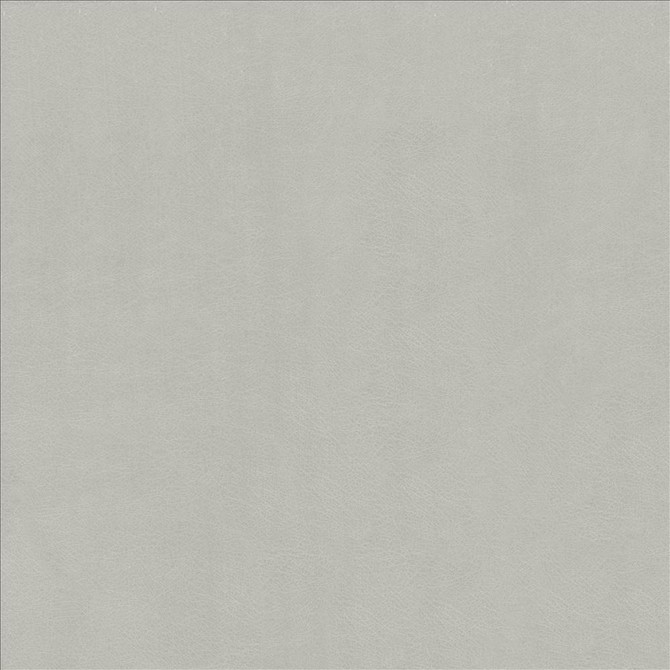 Odin Aluminum by Kasmir Fabric 5127 100% Polyurethane CHINA 100,000 Wyzenbeek Double Rubs Horizontal: 0 Inches and Vertical: 0 Inches 54 - Fabric Carolina -