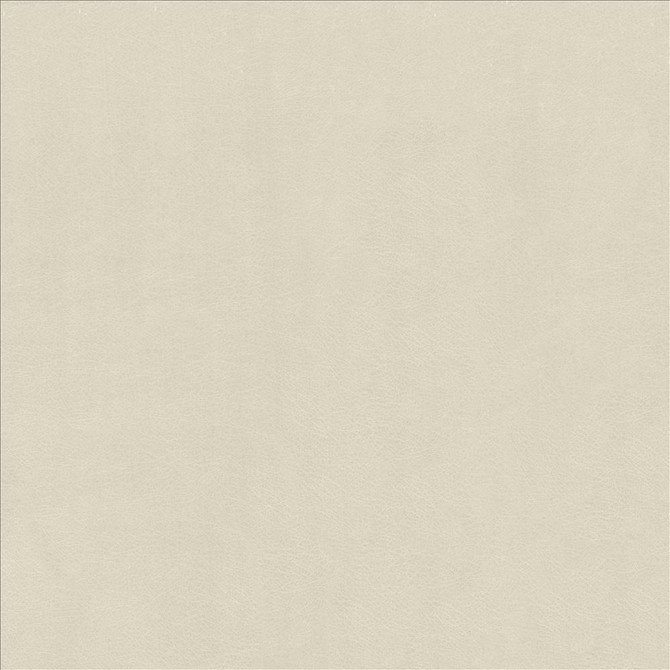 Odin Aluminum by Kasmir Fabric 5127 100% Polyurethane
 CHINA 100,000 Wyzenbeek Double Rubs </p><p>Repeat: Horizontal: N/A and Vertical: N/A 53 - Fabric Carolina -