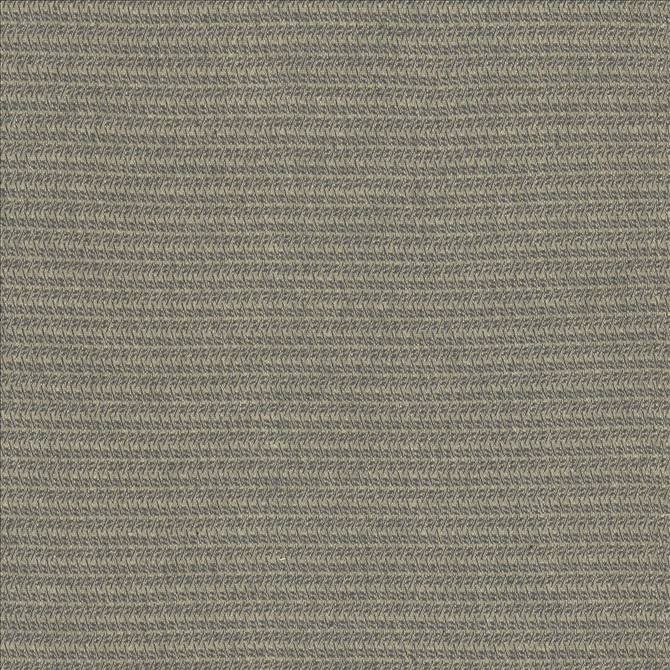 Patter Gray  by Kasmir Fabric See sample 79% Recycled Cotton
21% Polyester
 USA 12,000 Wyzenbeek Double Rubs </p><p>Repeat: Horizontal: 2/8 inches and Vertical: 6/8 inches 54  - Fabric Carolina -