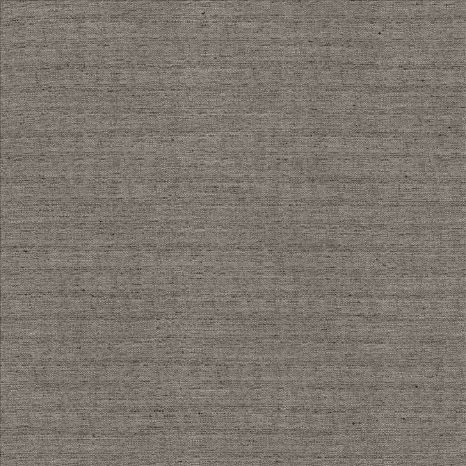 Sotto Black Pearl by Kasmir Fabric 5126 100% Polyester
 INDIA </p><p>Repeat: Horizontal: N/A and Vertical: N/A 54 - 55 - Fabric Carolina -