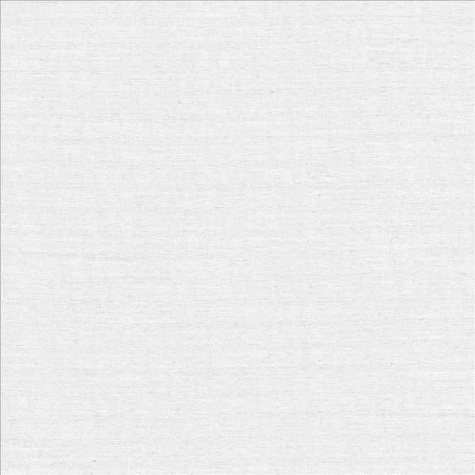 Sotto White by Kasmir Fabric 5126 100% Polyester
 INDIA </p><p>Repeat: Horizontal: N/A and Vertical: N/A 54 - 55 - Fabric Carolina -