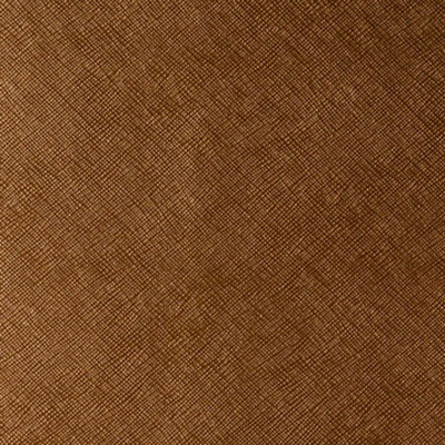 Kediri Lucky Penny by Kravet Design Fabric