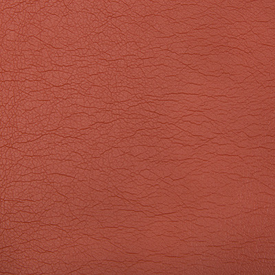 Optima Terra Cotta by Kravet Contract Fabric