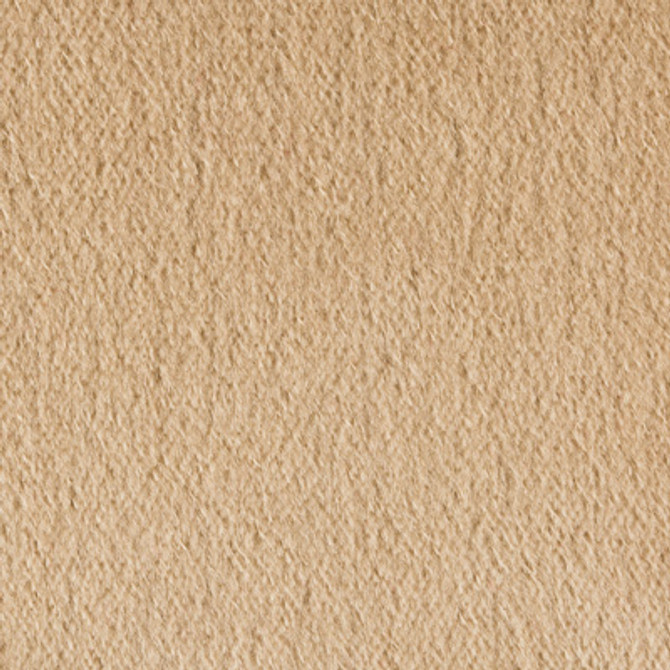 Plazzo Mohair Camel by Kravet Couture Fabric