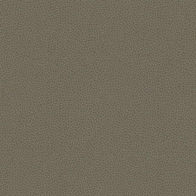 Kravet Smart Rigel-11 by Kravet Design Fabric