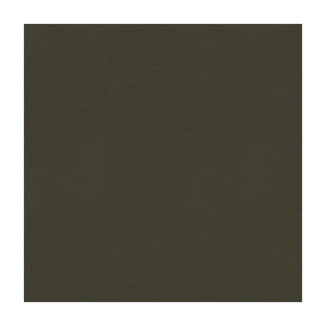 Balara-21 by Kravet Contract Fabric - POLYURETHANE - 100% China HEAVY Horizontal: - and Vertical: - 55 - Fabric Carolina -