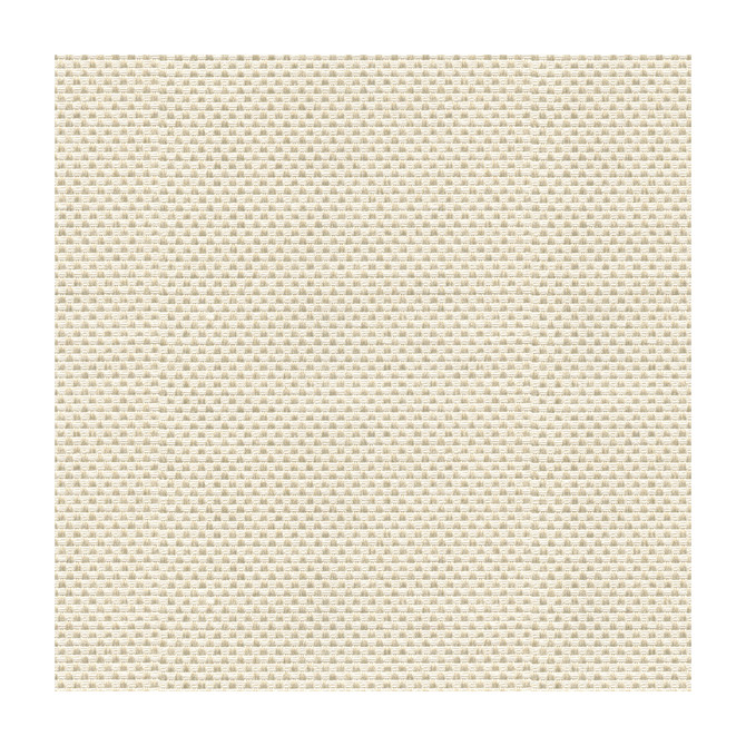 Sener Ivory by Kravet Design Fabric CONSTANTINOPLE POLYESTER - 76%;COTTON - 24% Turkey HEAVY Horizontal: - and Vertical: - 55 - Fabric Carolina -