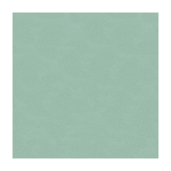 Ali-15 by Kravet Design Fabric ULTRALEATHER PLUS IV POLYURETHANE - 100% Japan HEAVY Horizontal: and Vertical: 54 - Fabric Carolina -