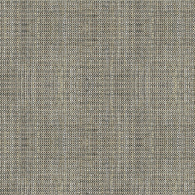 Rafael Coal by Kravet Basics Fabric