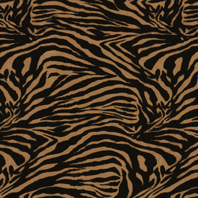 Kravet Design Zebra-84 by Kravet Design Fabric