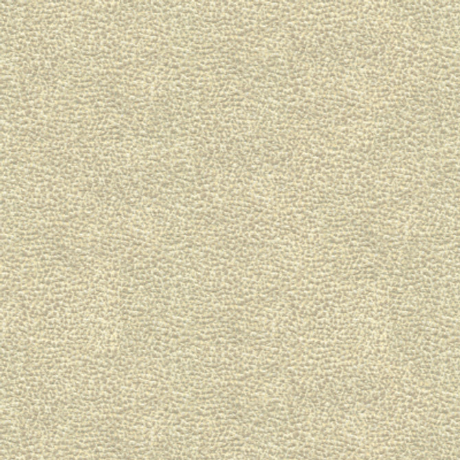 Shagreen Luxury Platinum by Kravet Couture Fabric