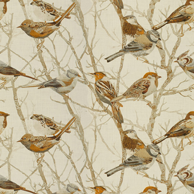 Perched Natural by Kravet Couture Fabric