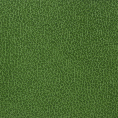 Kravet Basics Matter-3 by Kravet Basics Fabric