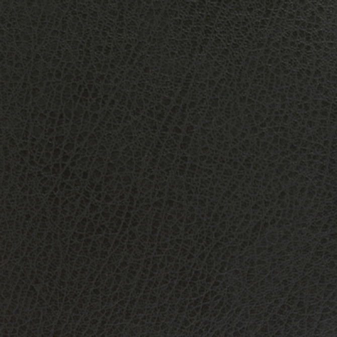 Kravet Basics Celine-21 by Kravet Basics Fabric