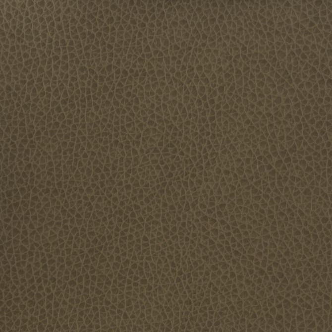 Matter-21 by Kravet Basics Fabric - POLYURETHANE - 100% China HEAVY Horizontal: - and Vertical: - 54 - Fabric Carolina -