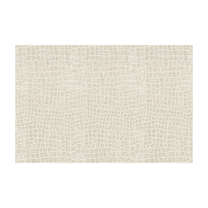 Finnian Cloud Nine by Kravet Contract Fabric POLYESTER - 100% China HEAVY Horizontal: 6.75 and Vertical: 13.75 54 - Fabric Carolina -