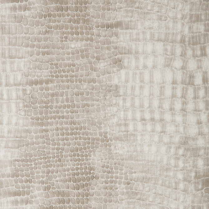 Porthos-11 by Kravet Design Fabric POLYESTER - 55%;POLYURETHANE - 45% Korea, Republic of HEAVY Horizontal: 8.5 and Vertical: 7.5 54 - Fabric Carolina -