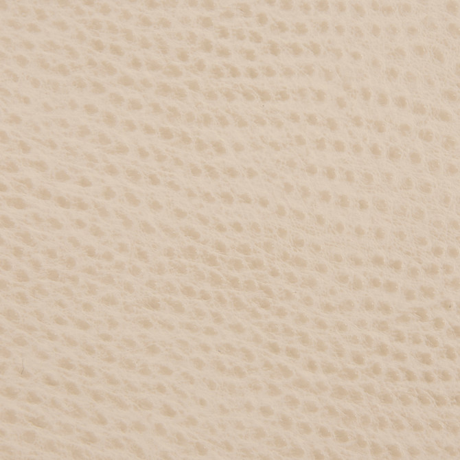 Kravet Smart Ossy-16 by Kravet Smart Fabric