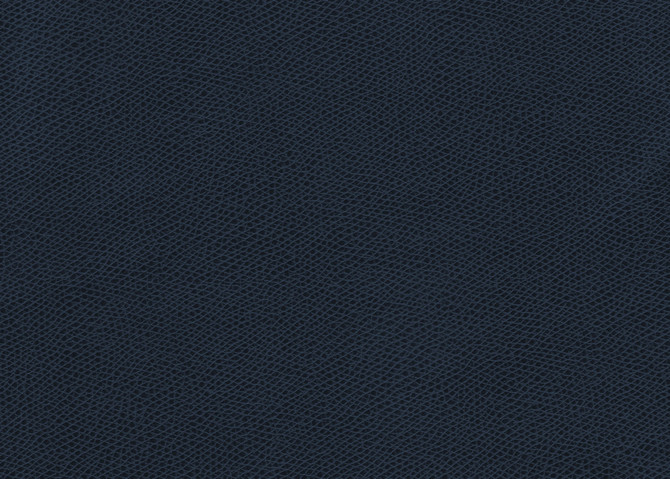 Ophidian Midnight by Kravet Contract Fabric