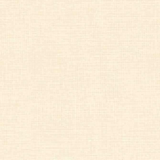 Washi Ivory by Kravet Contract Fabric