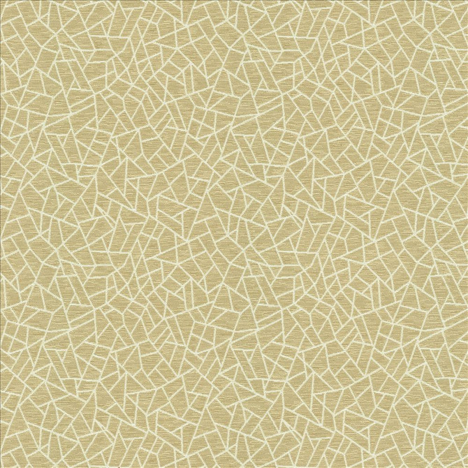 Cracked Glass Beige by Kasmir Fabric 5144 65% Polyester
35% Cotton
 INDIA </p><p>Repeat: Horizontal: 6 6/8 inches and Vertical: 7 6/8 inches 55 - Fabric Carolina -