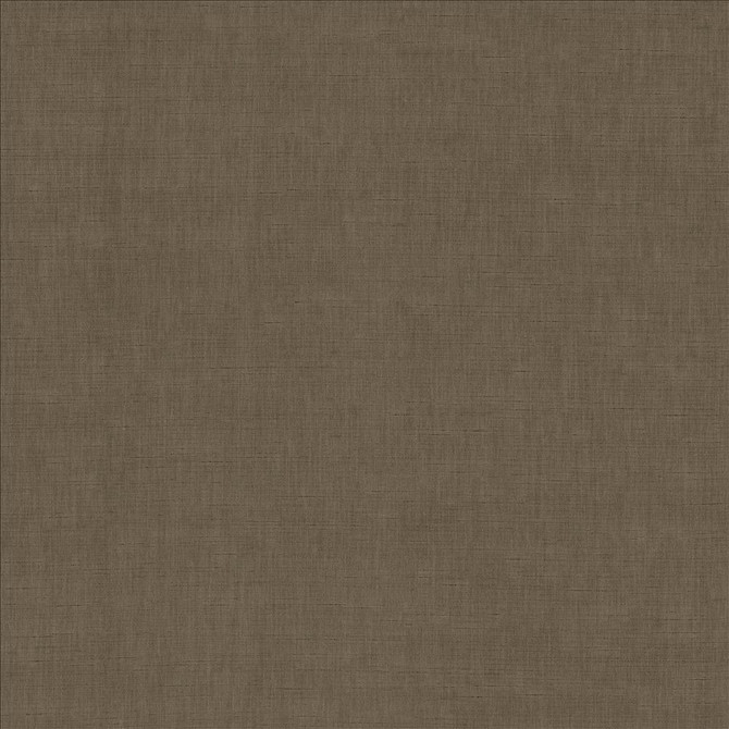 Kamari Chestnut  by Kasmir Fabric See sample 100% Polyester
 INDIA Not Tested </p><p>Repeat: Horizontal: N/A and Vertical: N/A 54  - Fabric Carolina -