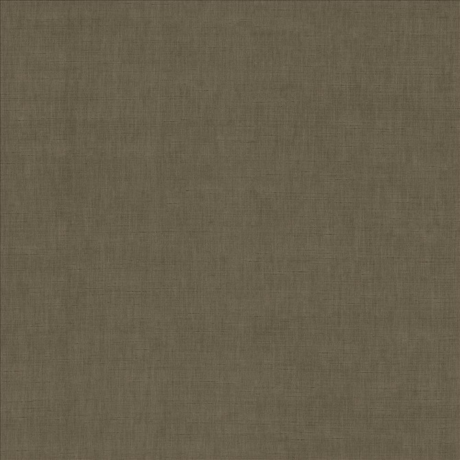 Kamari Chestnut by Kasmir Fabric 5150 100% Polyester
 INDIA </p><p>Repeat: Horizontal: N/A and Vertical: N/A 54 - Fabric Carolina -