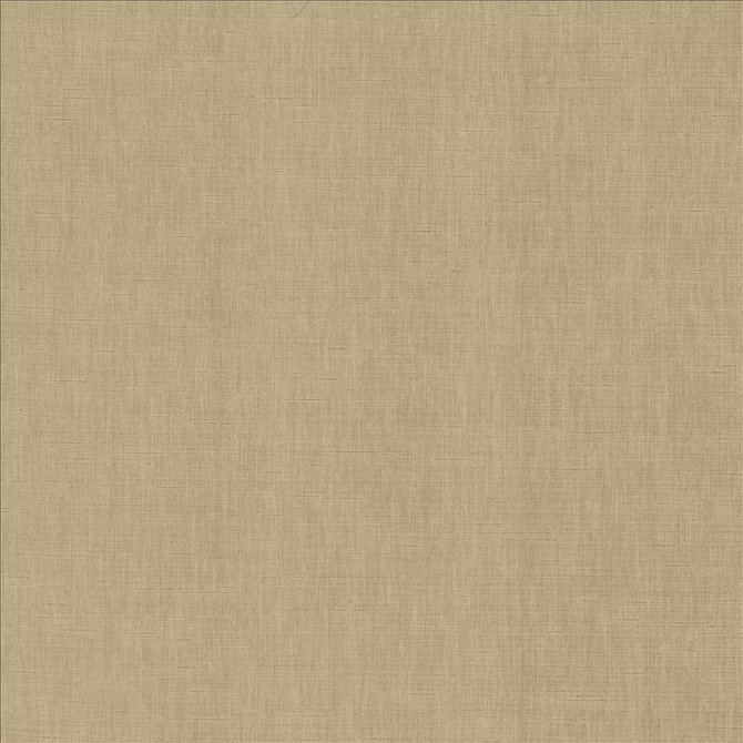 Kamari Pewter by Kasmir Fabric 5150 100% Polyester
 INDIA </p><p>Repeat: Horizontal: N/A and Vertical: N/A 54 - Fabric Carolina -