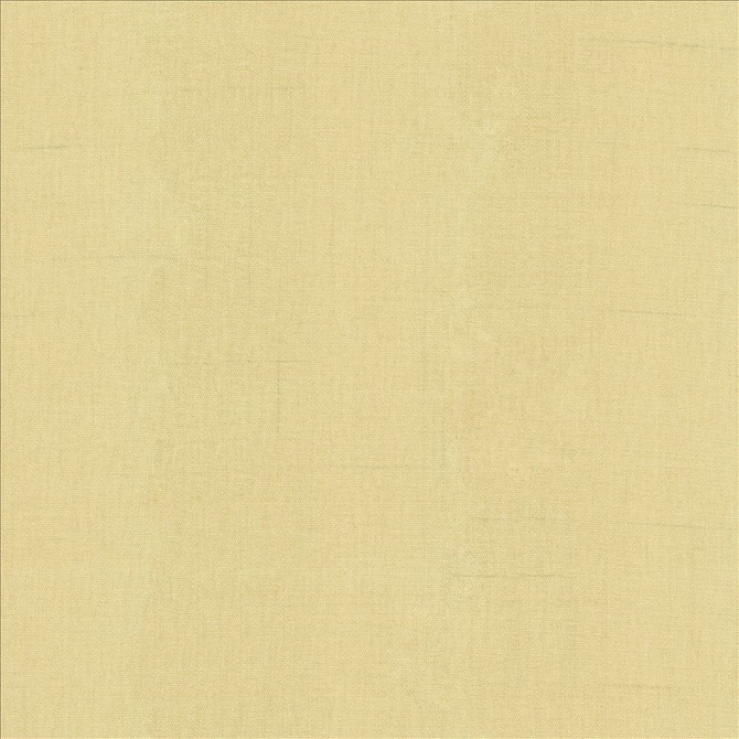 Quarry Biscuit by Kasmir Fabric 5148 100% Polyester
 INDIA 100,000 Wyzenbeek Double Rubs Horizontal: N/A and Vertical: N/A 54 - Fabric Carolina -