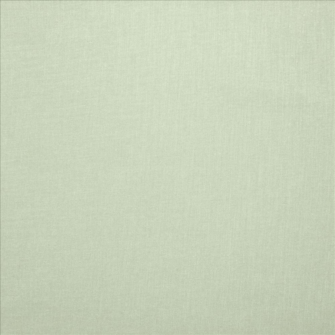 Subtle Chic Mint by Kasmir Fabric 5183 100% Polyester
 INDIA </p><p>Repeat: Horizontal: N/A and Vertical: N/A 54 - 57 - Fabric Carolina -
