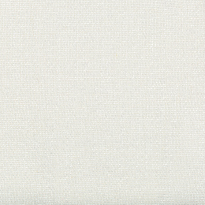 35189-1 by Kravet Basics Fabric RAYON - 75%;LINEN - 15%;COTTON - 10% China HEAVY Horizontal: and Vertical: 54 - Fabric Carolina -