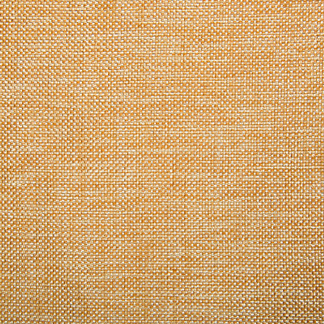 Kravet Contract 4458-1211 by Kravet Contract Fabric