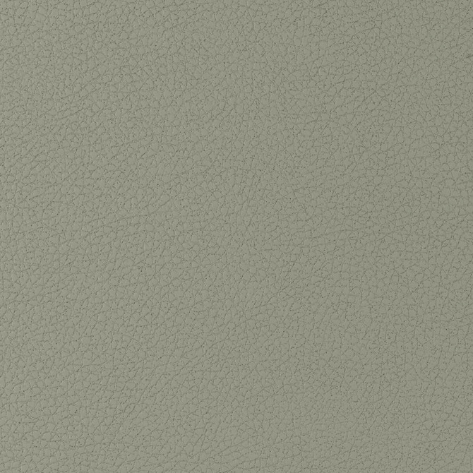 Genslar-1121 by Kravet Design Fabric POLYURETHANE - 100% Japan HEAVY Horizontal: 0 and Vertical: 0 54 - Fabric Carolina -