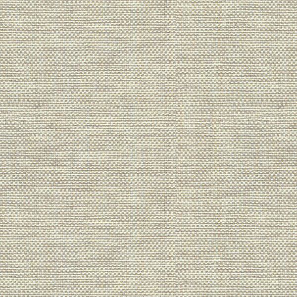 Kravet Basics 30299-106 by Kravet Basics Fabric