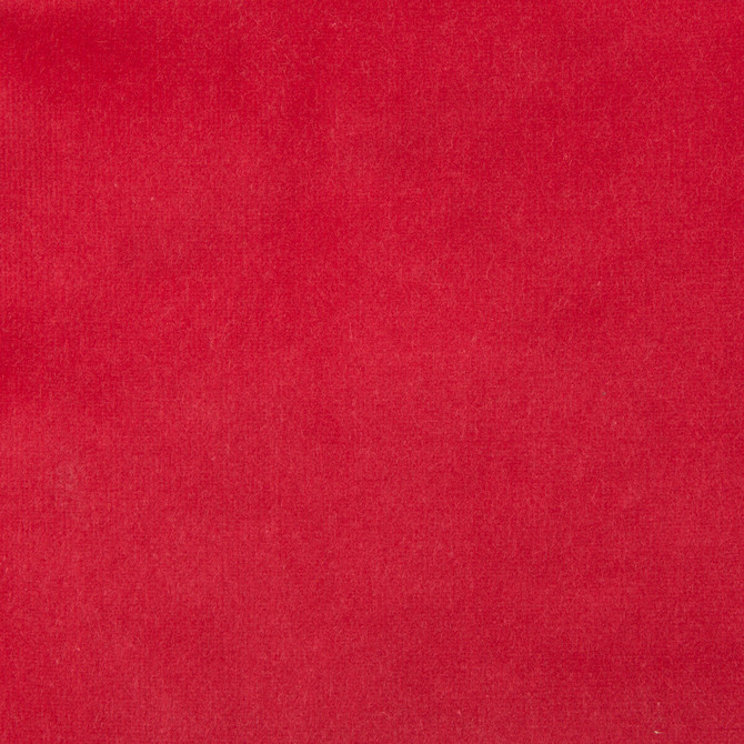 Versailles-E228010 by Kravet Design Fabric COTTON - 100% Netherlands HEAVY Horizontal: 0 and Vertical: 0 54 - Fabric Carolina -
